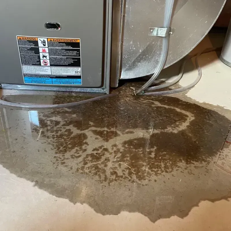 Appliance Leak Cleanup in Tualatin, OR